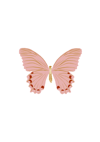 Mariposa
